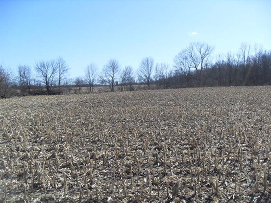 OHIO LAND AUCTION, 136+/- Acres offered in 4 Tracts from 7 to 72 Acres
